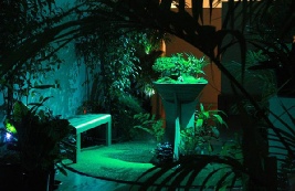 Garden of Membranes 2.0